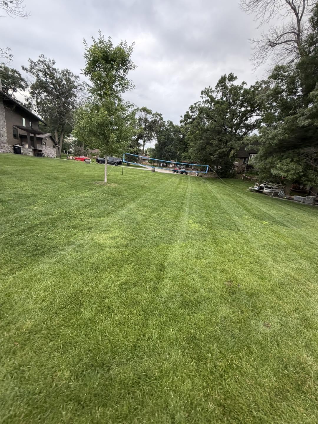 Neat mowing stripes across a green lawn bordered by mature trees